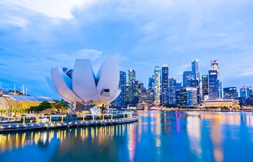 Sg Insights